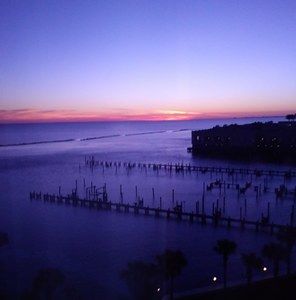 Meet your Posher, Bobby